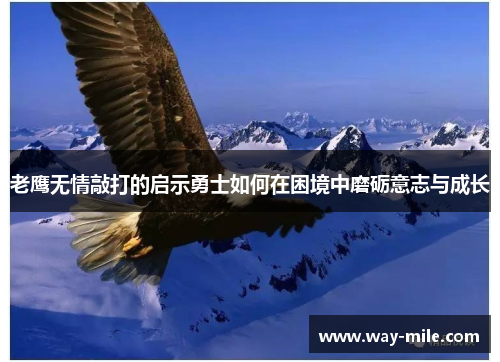 老鹰无情敲打的启示勇士如何在困境中磨砺意志与成长 老鹰无情敲打的启示勇士如何在困境中磨砺意志与成长