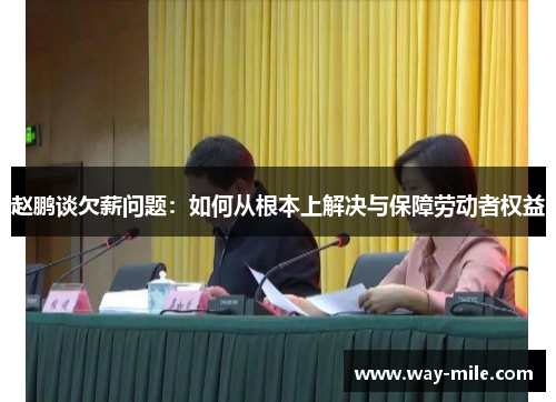 赵鹏谈欠薪问题:如何从根本上解决与保障劳动者权益 赵鹏谈欠薪问题:如何从根本上解决与保障劳动者权益