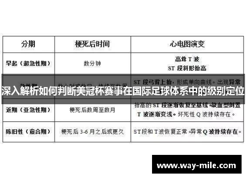深入解析如何判断美冠杯赛事在国际足球体系中的级别定位 深入解析如何判断美冠杯赛事在国际足球体系中的级别定位