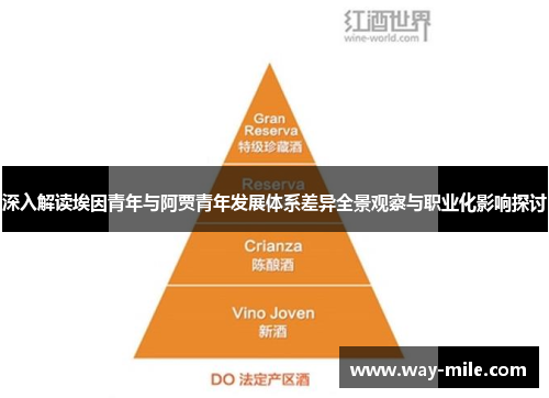 深入解读埃因青年与阿贾青年发展体系差异全景观察与职业化影响探讨 深入解读埃因青年与阿贾青年发展体系差异全景观察与职业化影响探讨