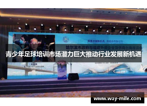 青少年足球培训市场潜力巨大推动行业发展新机遇 青少年足球培训市场潜力巨大推动行业发展新机遇